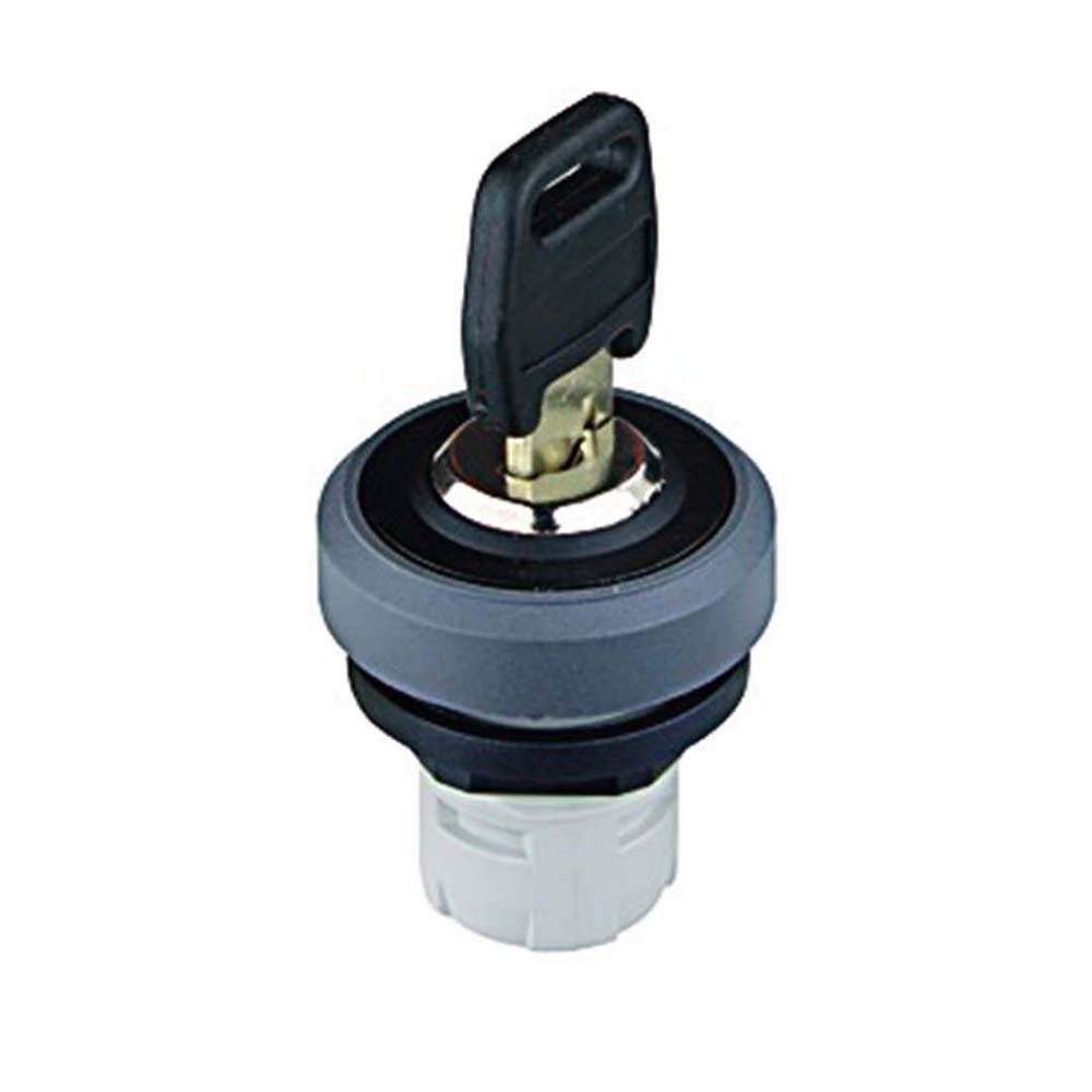 RKSSA25 Control Switches International